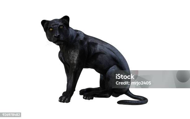 Black Panther Leopard Stock Photo - Download Image Now - Africa,  Aggression, Anger - iStock