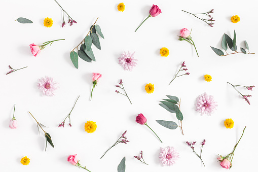 Flowers composition. Pattern made of various colorful flowers on white background. Flat lay, top view