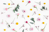 Various colorful flowers on white background. Flat lay, top view