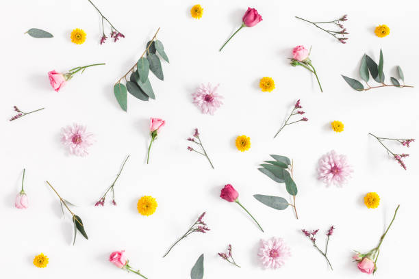 Photo of Various colorful flowers on white background. Flat lay, top view