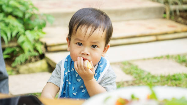 niño lindo asiático comiendo un bocadillo en un jardín. - eating child cracker asia fotografías e imágenes de stock