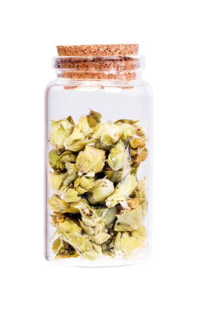 Lemon grass in a bottle with cork stopper for medical use. High resolution photo.