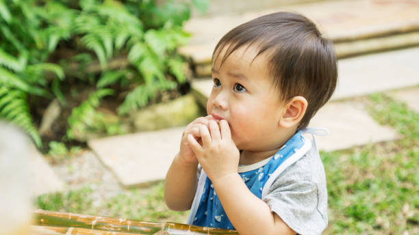asian cute child eating a snack in a garden. - eating child cracker asia imagens e fotografias de stock