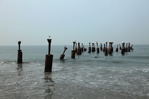 Old ruined sea piers with white herons sitting on it in Calicut beach in Kerala, India