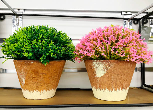 istock Plastic green flowers in a pot as decor for design. Floristics 926996646