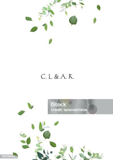 Herbal Minimalistic Vector Frame Stock Illustration - Download Image Now - Leaf, Border - Frame, Invitation