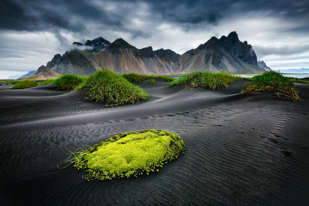 сильный ветер рябь пляж черный песок. расположение знаменитого места стокснес мыс, vestrahorn (батман-маунтин), исландия, европа. - landscape iceland mountain green стоковые фото и изображения