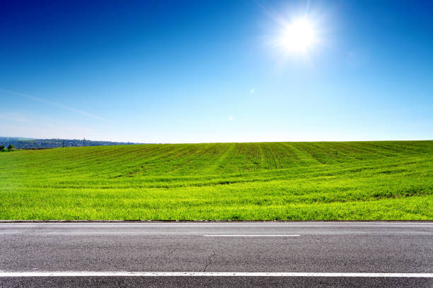 istock Road and green spring field with sun on blue sky 927006240