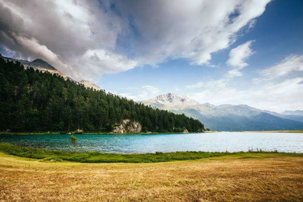 tolle aussicht auf den azurblauen teich champfèr im alpental. lage schweizer alpen, silvaplana-dorf. europa. - champfer stock-fotos und bilder