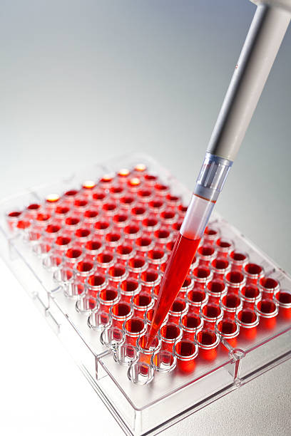 amostra de sangue de investigação científica com uma pipeta e a placa de - blood red blood cell blood cell blood sample imagens e fotografias de stock