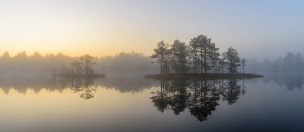 istock Bog landscape in the morning 927011760