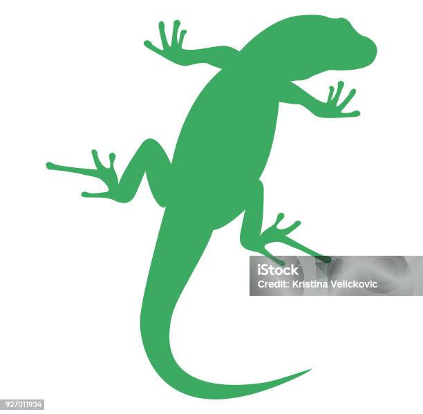 Gecko Silhouette Stock Illustration - Download Image Now - Animal, Animal Wildlife, Design