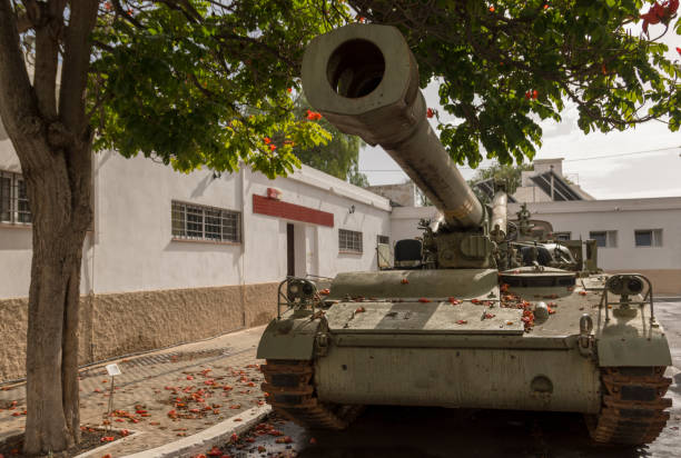 Old combat vehicle standing on the street under a tree.