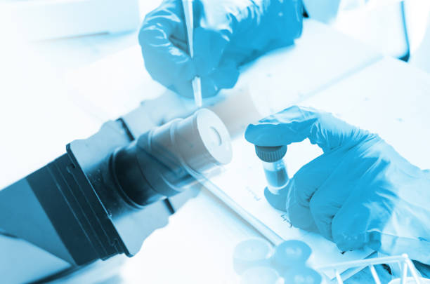 istock Vacutainer or test tube in lab on table and memory on report 927015856