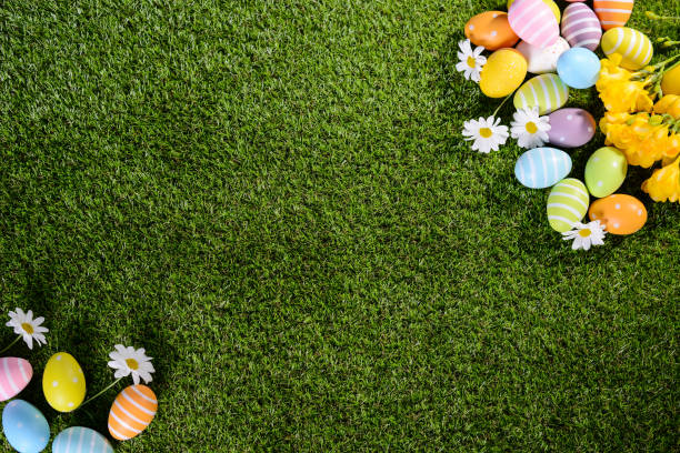 istock above top view of multi colored painted easter eggs on green grass with springtime daisy flowers and copy space for text 927018916