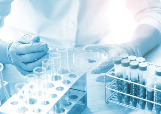 istock Vacutainer or test tube in lab on table 927019334