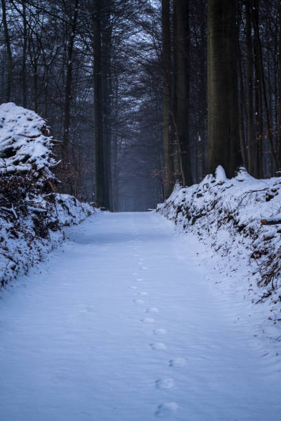 istock Footsteps in the snow 927020312