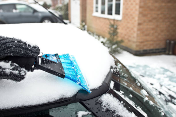 skrobak do lodu oczyszczający śnieg - snow car window ice scraper zdjęcia i obrazy z banku zdjęć