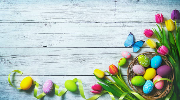 paskalya arka plan. kelebekler ve boyalı yumurta ile renkli bahar laleler - lale fotoğraflar stok fotoğraflar ve resimler
