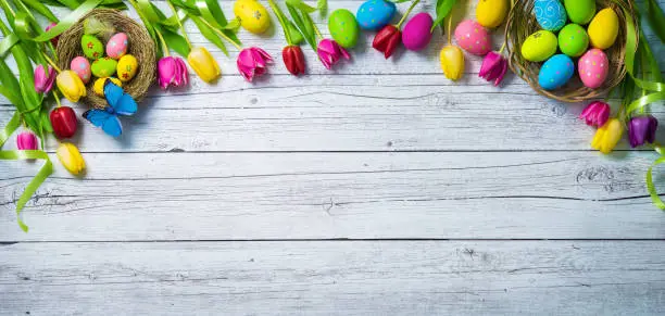 Photo of Easter background. Colorful spring tulips with butterflies and painted eggs