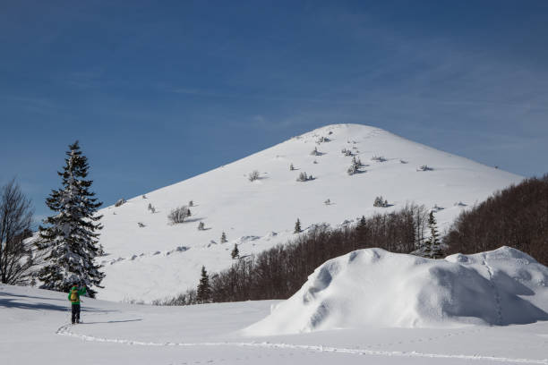 mała osoba w dużym zimowym krajobrazie - telemark skiing zdjęcia i obrazy z banku zdjęć