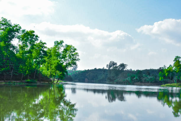 istock Lake of water within tea garden. 927031286