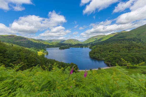 Lake Grasmere, Lake District, UK Beautiful landscape looking down at Lake Grasmere taken from the hiking path above the lake. grasmere stock pictures, royalty-free photos & images