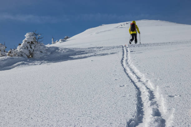 istock Ski ascent on skis with skins 927031788