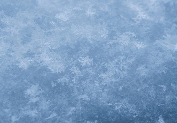 a real snowflake in the snow, at a temperature of -10 degrees Celsius