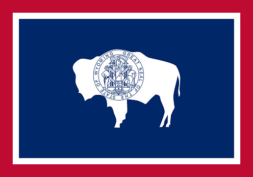 US state flag