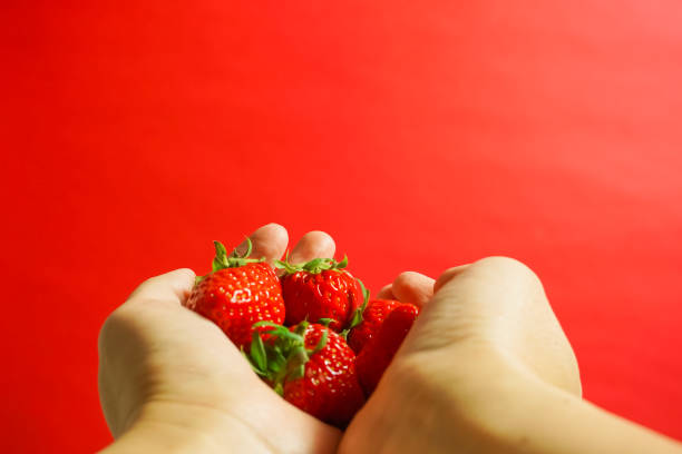 istock The hand which sends many strawberries. red background 927053980