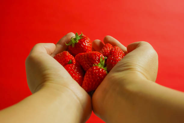 istock The hand which sends many strawberries. red background 927053998