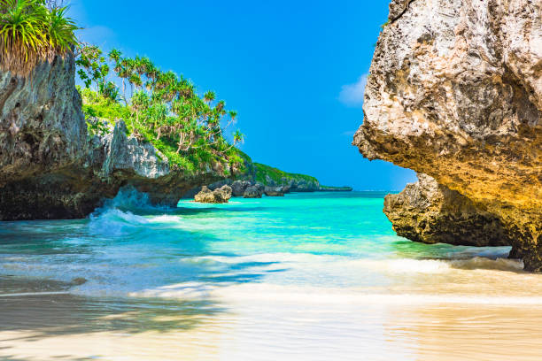 aussicht auf den strand. sansibar, tansania. - zanzibar stock-fotos und bilder