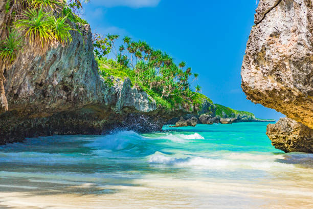 istock Beach view. Zanzibar, Tanzania. 927057608