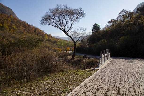 istock Shaanxi tongchuan jin xue village 927060728