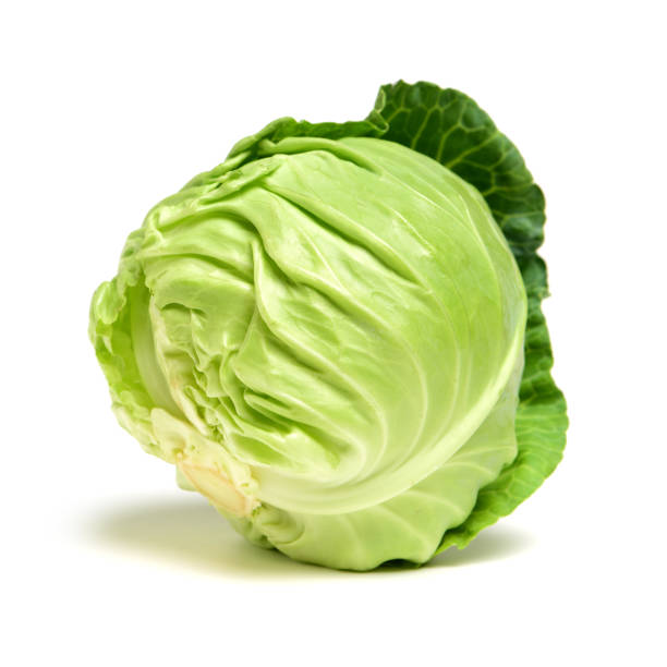 chou vert isolé sur fond blanc, - green cabbage photos et images de collection