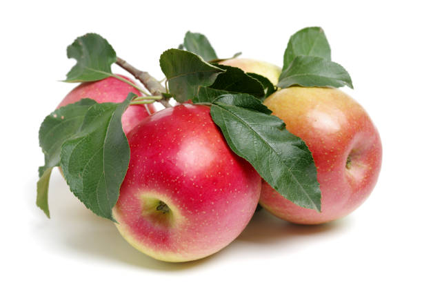 istock Fresh apples and scattered leaves isolated on white background, 927065886