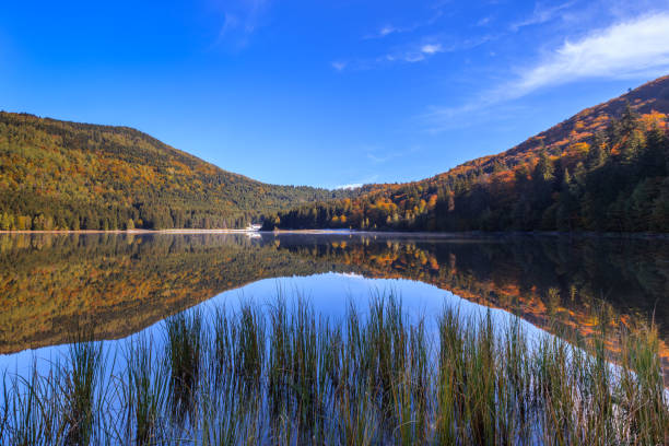 istock Saint Anna Lake, Romania 927068838