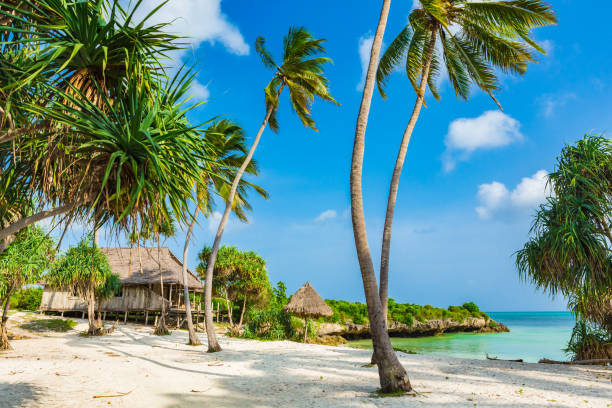 istock Abandoned resort. Zanzibar, Tanzania. 927069002