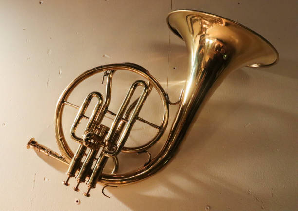 istock gold horn on the wall 927069388