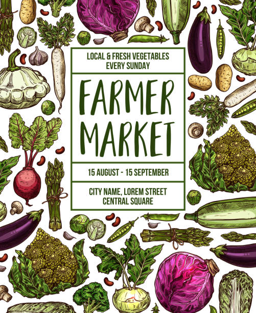wektor szkic plakat na rynku warzyw gospodarstwa - vegetable leek kohlrabi radish stock illustrations