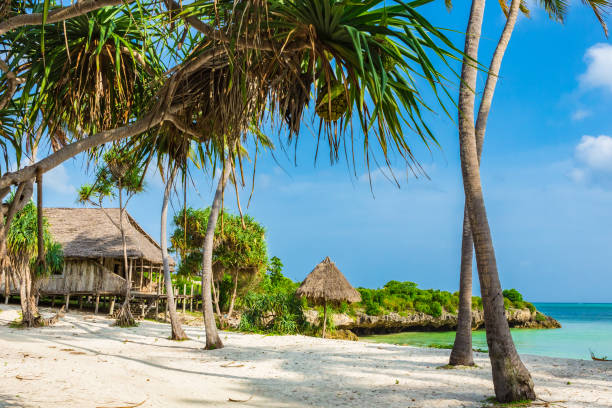 istock Abandoned resort. Zanzibar, Tanzania. 927073922