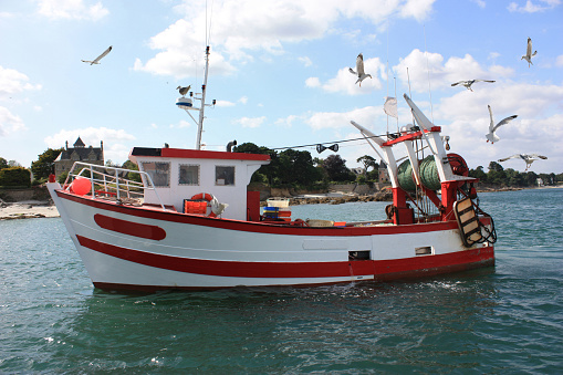 Fishing trawler  seagulls in flight