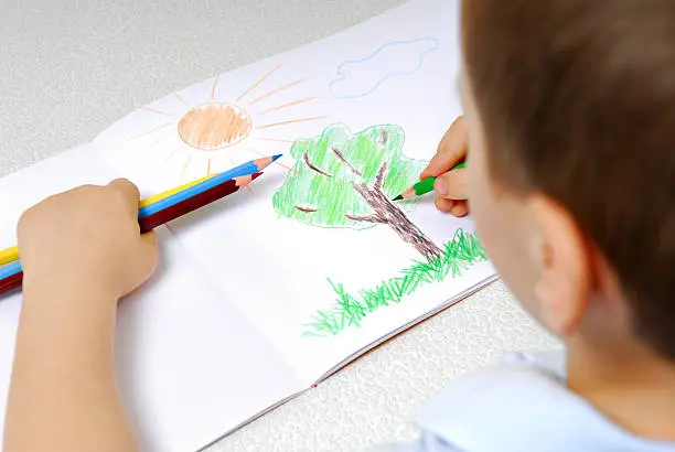 Photo of Boy drawing a tree grass and sun with colored pencils