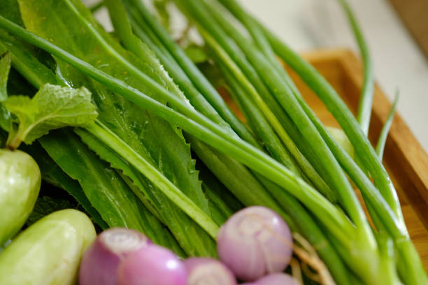 istock Close up ingredient cucumber, Shallots ,Onion, coriander. (selective Focus) 927074128