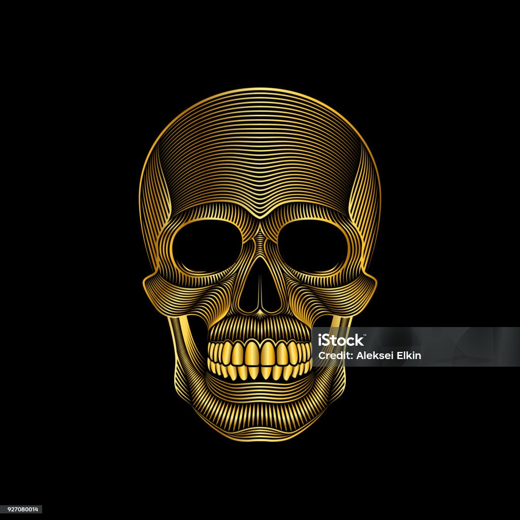 Stylized golden skull on black background Graphic print of stylized golden skull on black background. Linear drawing. Art stock vector
