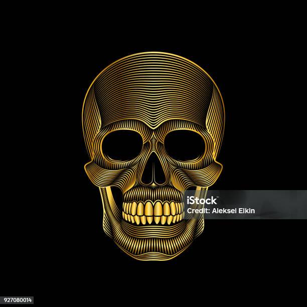 Stylized Golden Skull On Black Background Stock Illustration - Download Image Now - Art, Skull, Youth Culture