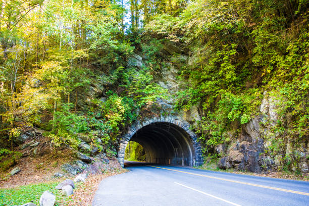 istock Tunnel to Rocky Mountains 927080276