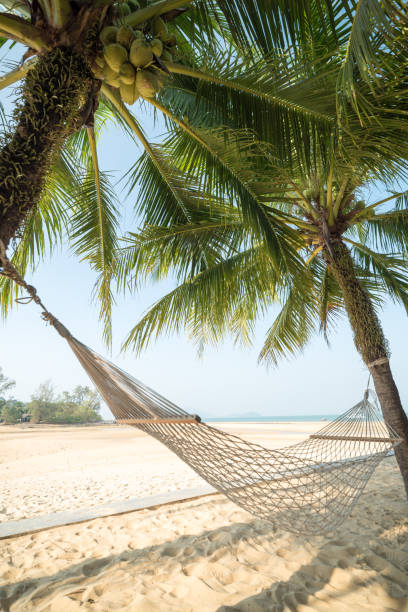 istock A hammock hang with coconut tree on blur ocean and sky background. concept vacation relax. 927081388