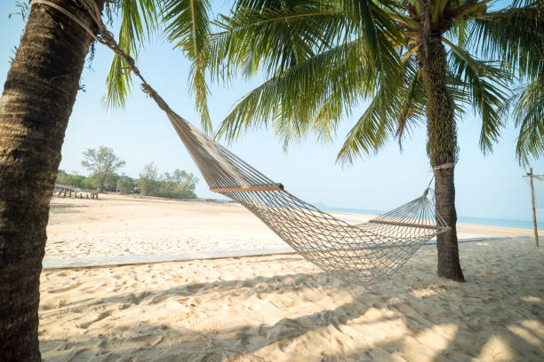 istock A hammock hang with coconut tree on blur ocean and sky background. concept vacation relax. 927084344